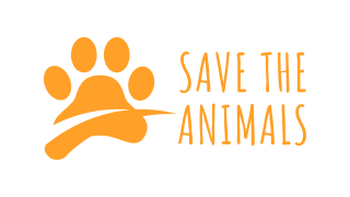 logo-4